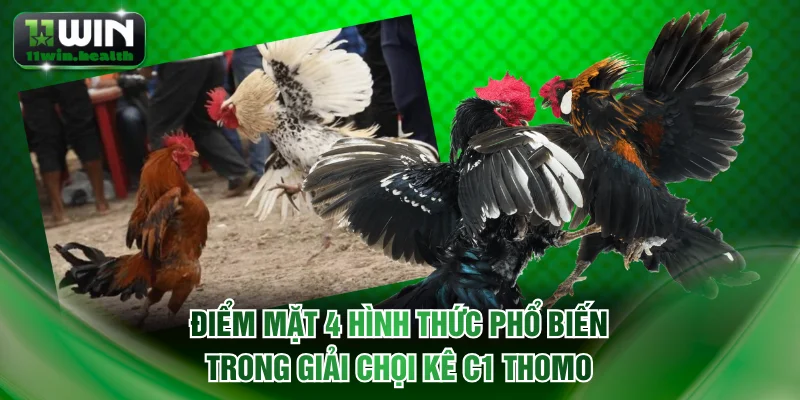 Điểm mặt 4 hình thức phổ biến trong giải chọi kê C1 Thomo