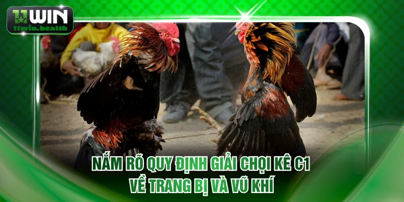 Nắm rõ quy định giải chọi kê C1 về trang bị và vũ khí