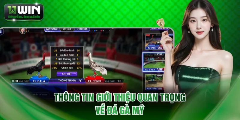 Thông tin giới thiệu quan trọng về đá gà Mỹ