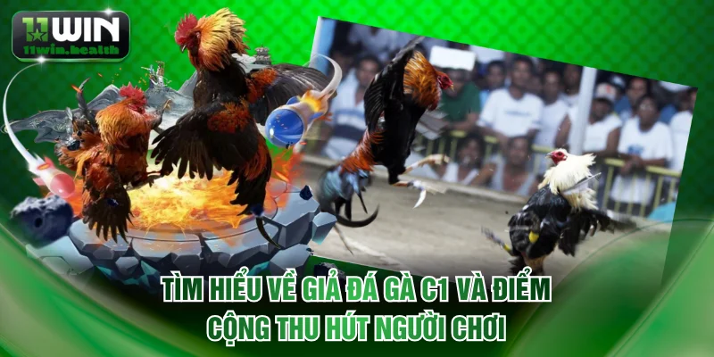 Tìm hiểu về giả đá gà C1 và điểm cộng thu hút người chơi